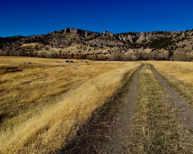 The Path to Heaven; Smoot Ranch, MT : Places : Peter Gabbarino Photographs 