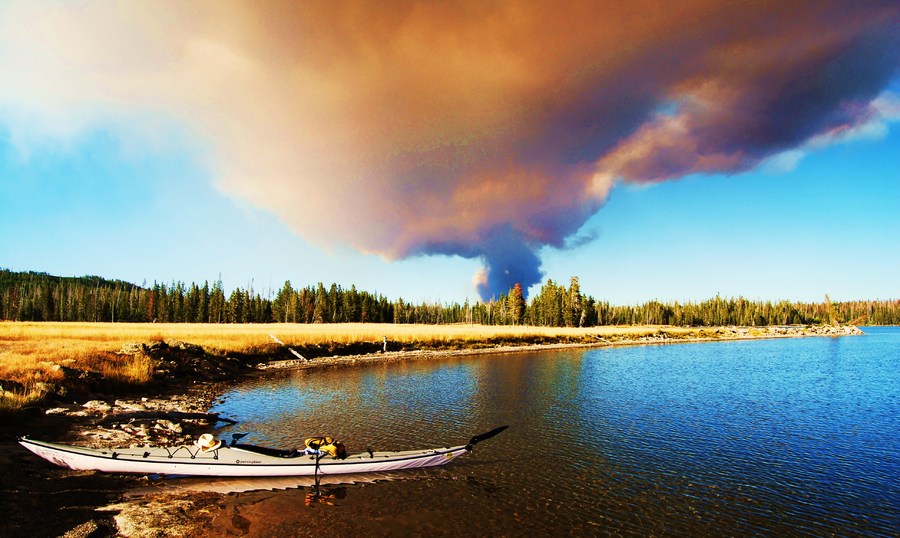 Yellowstone September 096.JPG : Wild Things : Peter Gabbarino Photographs 