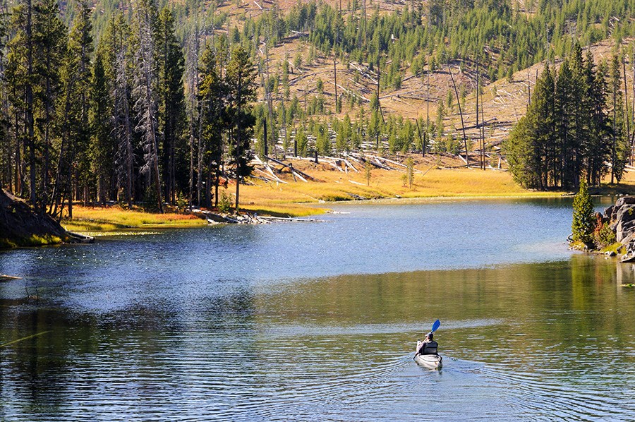 Yellowstone  : Places : Peter Gabbarino Photographs 