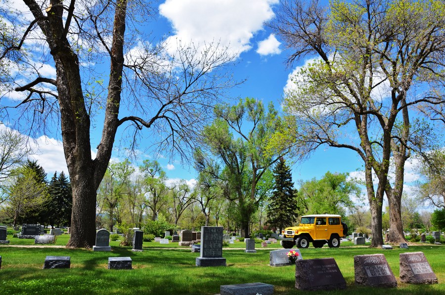 Never Die 42 : Iconic Toyotas FJ40 & 60 Series  : Peter Gabbarino Photographs 