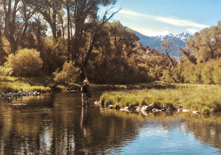  : Wild Things : Peter Gabbarino Photographs 