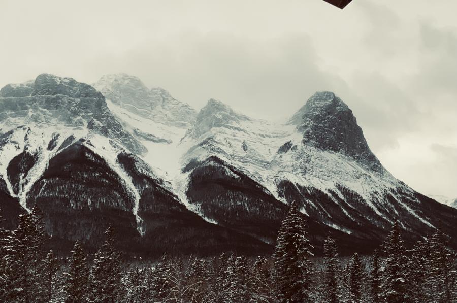  : Things : Peter Gabbarino Photographs 