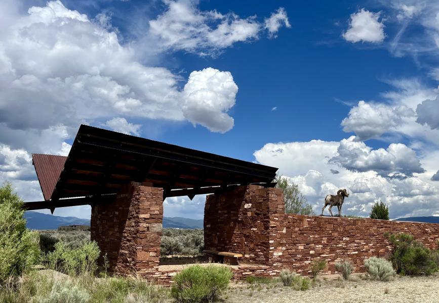  : Wild Things : Peter Gabbarino Photographs 